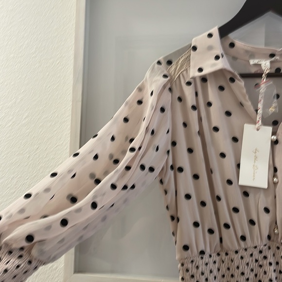 🪞🏞 sheer By the river poka dot dress🪞 - Picture 6 of 10